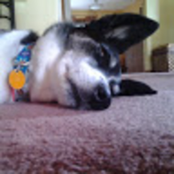 Meet your Posher, Charles - Picture 1 of 1